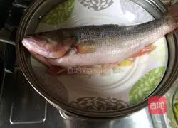 Cantonese style steamed fish illustration 9