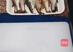 Illustration of braised small seabass 1