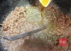 Sichuan Mapo Tofu Recipe 9