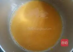 Yoghurt Mango Mousse Cake Recipe Illustration 8