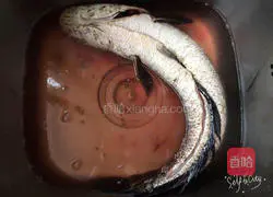 Sauerkraut water Illustration of cooking fish 2