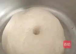 Homemade pizza recipe 7