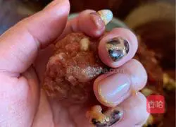 Illustration of how to make tomato and cola beef balls 6