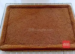 Cocoa Cream Cake Roll Recipe Illustration 17