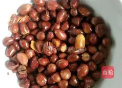 Illustration of how to make Kung Pao Chicken 4