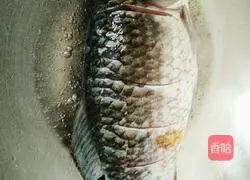 Xiangtan boiled crucian carp Practice illustration 6