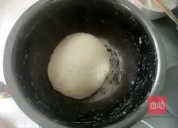 Illustration of home-style tofu buns 5