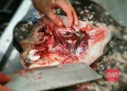 Illustration of how to cook live fish in Xiangtan 3