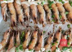 Illustration of grilled shrimp 6