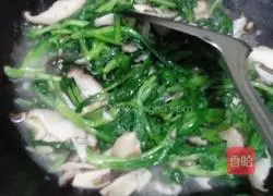 Illustration of four dishes (mushrooms and green vegetables, steamed eggplant, baby cabbage, fried octopus with green pepper) 3