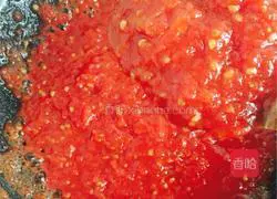 Ketchup Recipe Illustration 11