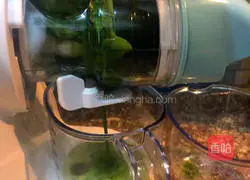 Illustration of how to make Jade Spring Cake 1