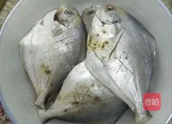 Illustration of braised large crystal fish 4