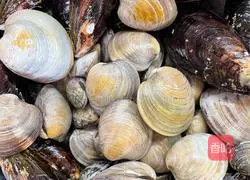 Illustration of how to make Mediterranean-style garlic clam pot 1