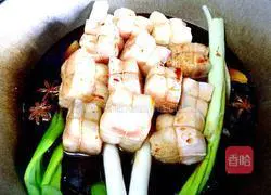 Illustration of Dongpo Pork (Improved Version) 10