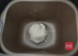 Orleans Chicken Pizza Recipe Illustration 2