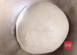 How to make Fennel Beef Mini Pizza (10 cm) 2