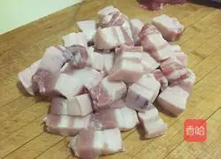 Illustration of how to make braised pork 1