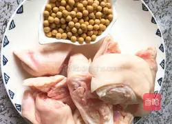 Illustration of how to cook pig's trotters with soybeans 1