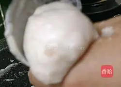 Illustration of making homemade shrimp balls 9