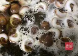 Illustration of how to cook jade snails with pickled vegetable juice 9