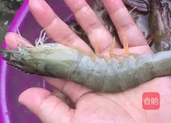 Illustration of how to make braised prawns in tomato sauce 1