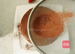 Chocolate yogurt mousse recipe 12