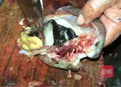 Illustration of how to make fried caviar with pickled cabbage 1