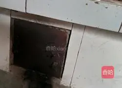 Illustration of how to make fried eggs with garlic sprouts 10