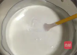 Yoghurt Ocean Mousse Recipe Illustration 11