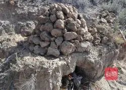 Illustration of how to make beggar's chicken 3