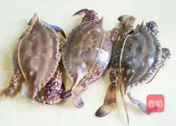 Pictures of how to make swimming crabs 1