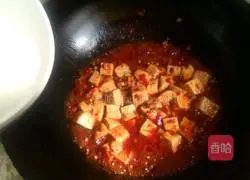 Ma Po Tofu ~ Illustration of Homemade Version 7