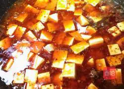 Sichuan Mapo Tofu Recipe Illustration 16