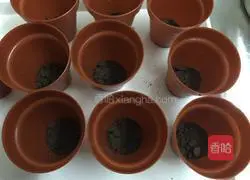 Oreo potted mousse recipe 8