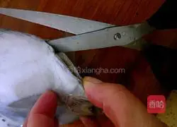 Illustration of how to make pan-fried pomfret 2