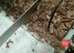 Black Forest Cake Roll Recipe Illustration 8