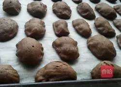 Black Swan Puffs Recipe Illustration 9