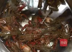 Illustration of how to make beer lobster 1