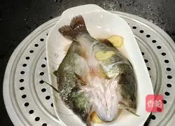 Illustration of steamed seabass 5