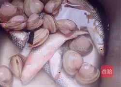 Illustration of how to cook clams in clear water 1