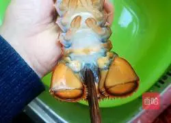 Illustration of how to make Boston lobster 2