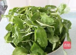 Illustration of how to make amaranth in soup 1