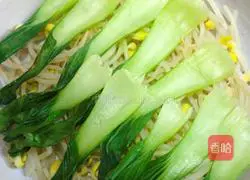 Sichuan@Illustration of boiled pork slices 4