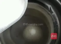 Mango Cheese Mousse Recipe Illustration 2