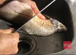 Illustration of Spicy Wuchang Fish Recipe 1