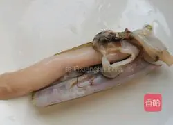 Illustration of how to make steamed razor clams 3