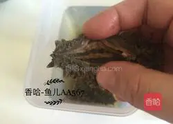 Illustration of how to make sea cucumbers 4