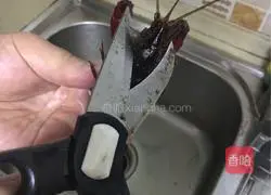 Illustration of how to handle crayfish 4
