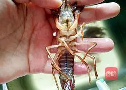 Illustration of how to make braised crayfish 1